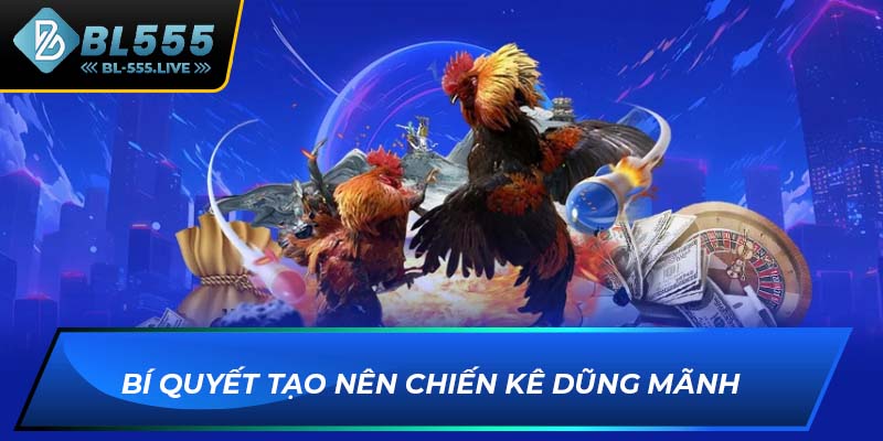 Bí quyết tạo nên chiến kê dũng mãnh